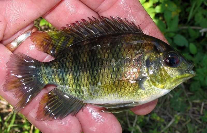 A Day in Southern Florida